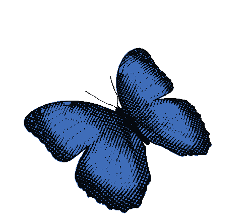 elemento animato bar